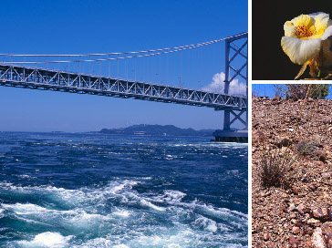 CEF南あわじウインドファームの風景その1