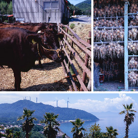 CEF南あわじウインドファームの風景その3