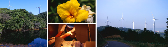 CEF南あわじウインドファームの風景その8