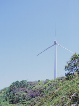 花咲風力発電所の風景その1