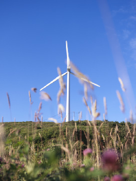 花咲風力発電所の風景その3