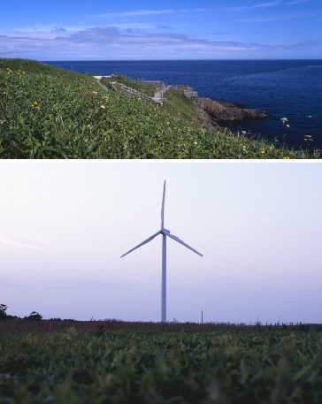 花咲風力発電所の風景その4