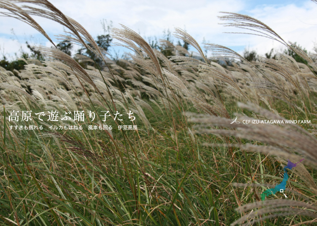 高原で遊ぶ踊り子たち