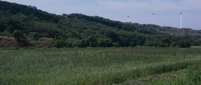 CEFオロロンウインドファームの風景その7